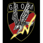 Polish G-R-O-M (Special Forces)