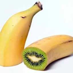 KIWI LAND