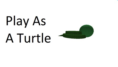 Turtle Simulator