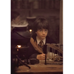 -~The Harry potter fan group!