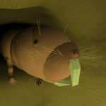 Mole Rat Fan Club
