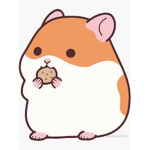 HamsterNight Fan Club