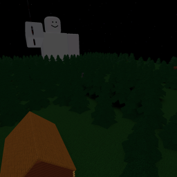 The Woods