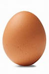 The Scrambled Eggz