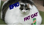 epic fat cat group