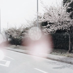 'boina