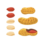 Peenuts clothing