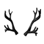 The Antler Supporters.