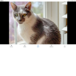 >Kitty_Crew<