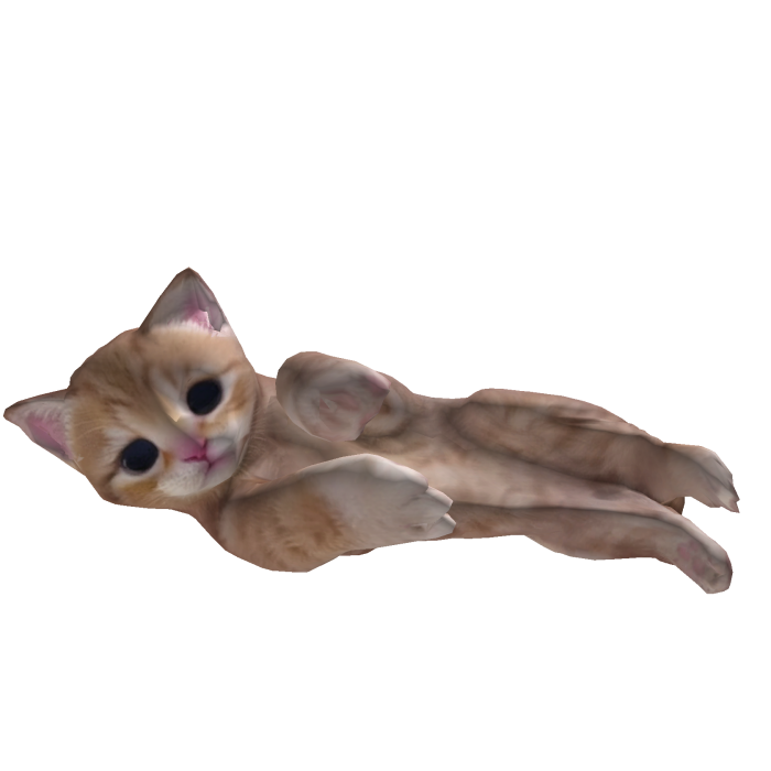 Cute Cat Hugging Ur Neck