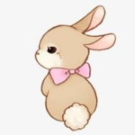The Blossom Bunnies! <3