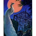 White Peacocks