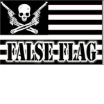 Equal. Asylum. Flags.