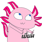 ZaeZae