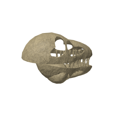 T-Rex Skull