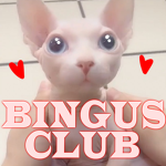 bingus club
