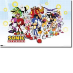 The Sonic the Hedgehog Group