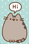 MY PUSHEEN