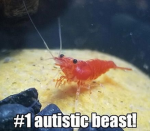 l0verbr4ts