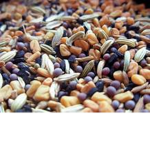 Seed Society