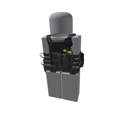 DHS