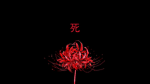 Ryu鬼 翼