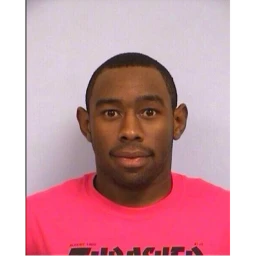 tyler the creator shrine :3 icon