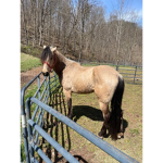 Horse riders for good life