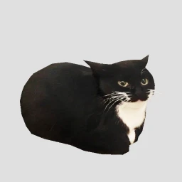 low poly cat spin to funkytown for 1 hour icon