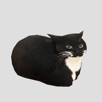 low poly cat spin to funkytown for 1 hour