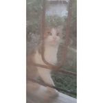 l_Aesthetic_Bubbles_l
