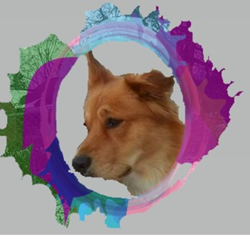 WiseWolf Productions Zombie fighting