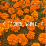 X Fashion World X