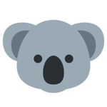 Koala Café Fan Club