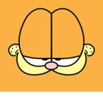 Warriors Of Garfield