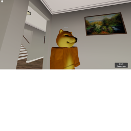 Doge world!