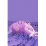 {~}Lavender{~}