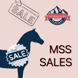 MSS Sales