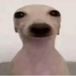 xXaolanisXx