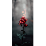 :rosey: