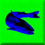 Impossible salmon