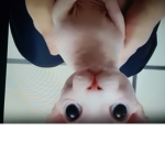 Bin gus