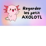 Group accueil