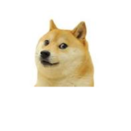 [RELEASE] Doge Race 3000