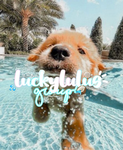 Lucykc21