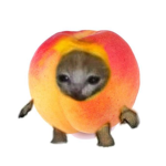 GimmeurRobux