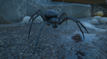 spider fan group !