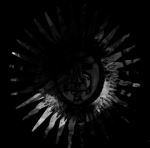 Masked Ones Organization