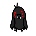 Spider Bird