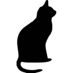 Cat and Kitten ######!!!!!!
